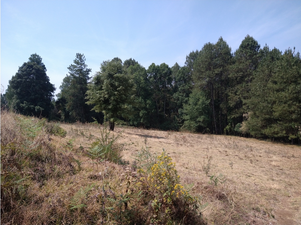 Rancho en Venta ubicado en el Trompillo Valle de Bravo C - 1