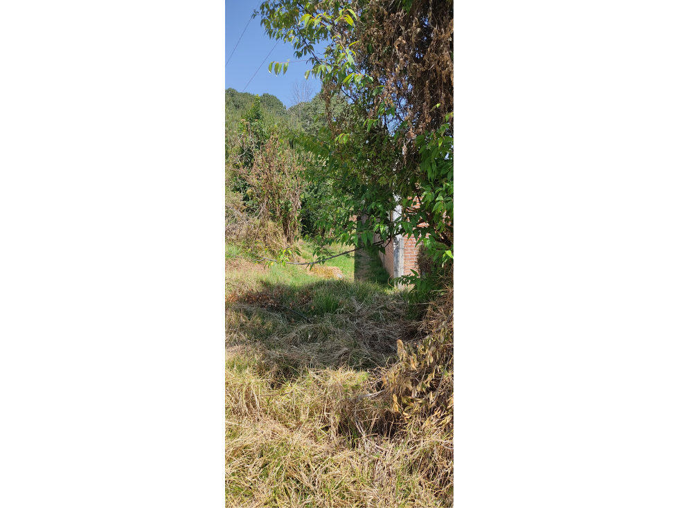 TERRENO EN VENTA EN EL FRESNO P — foto 4