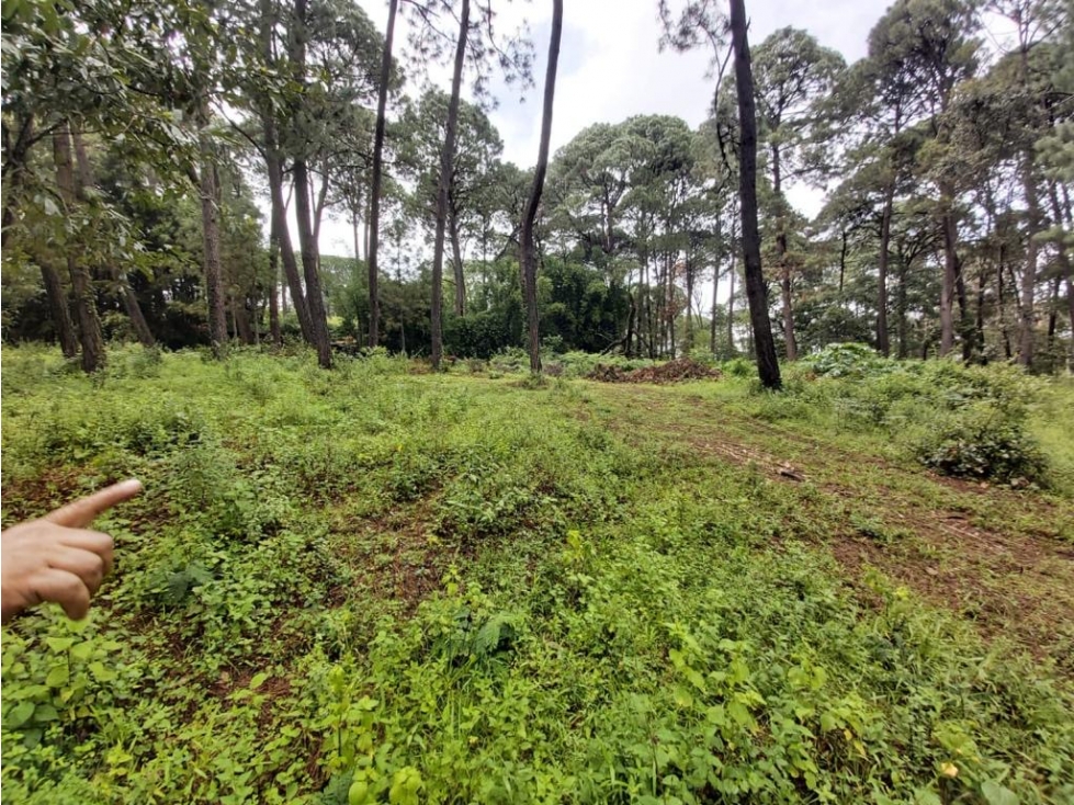 TERRENOS EN VENTA EN VALLE DE BRAVO P — foto 4