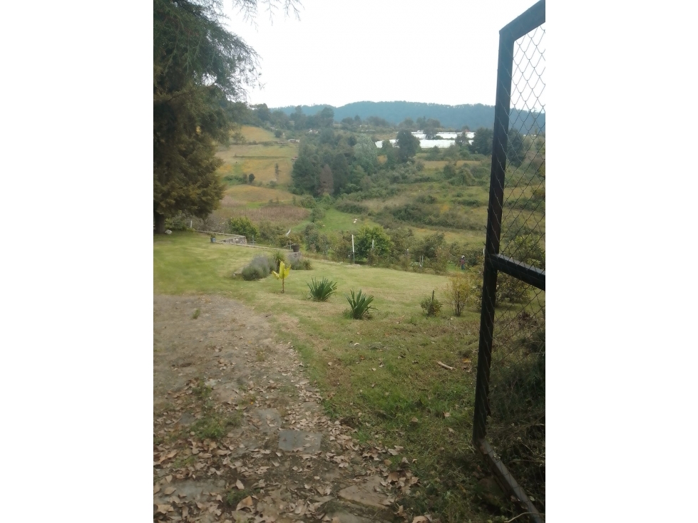 HERMOSO HUERTO EN ZONA PRIVILEGIADA — foto 4