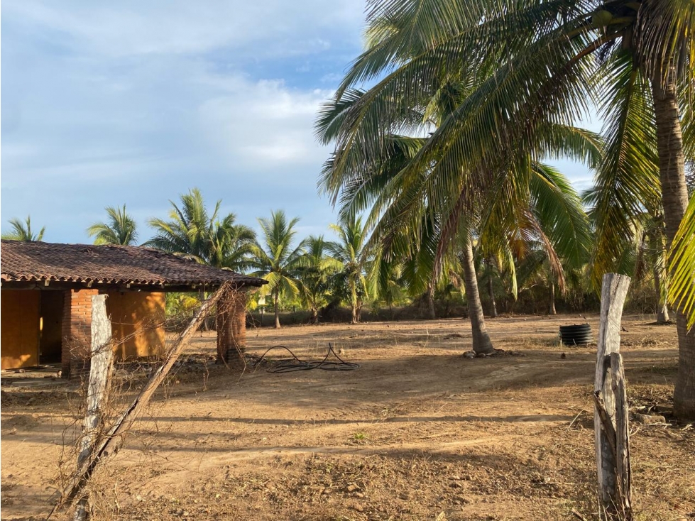 Extraordinaria propiedad en venta en Zihuatanejo - 4