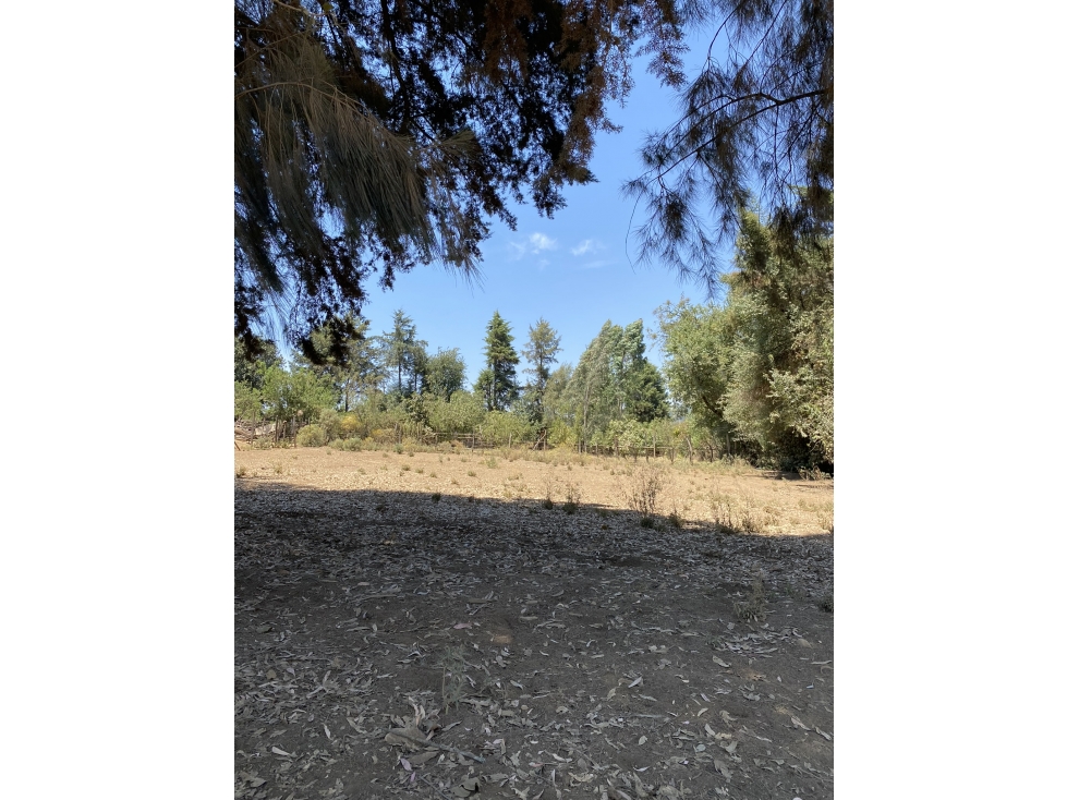 Terreno en Acatitlan a pie de calle M — foto 4
