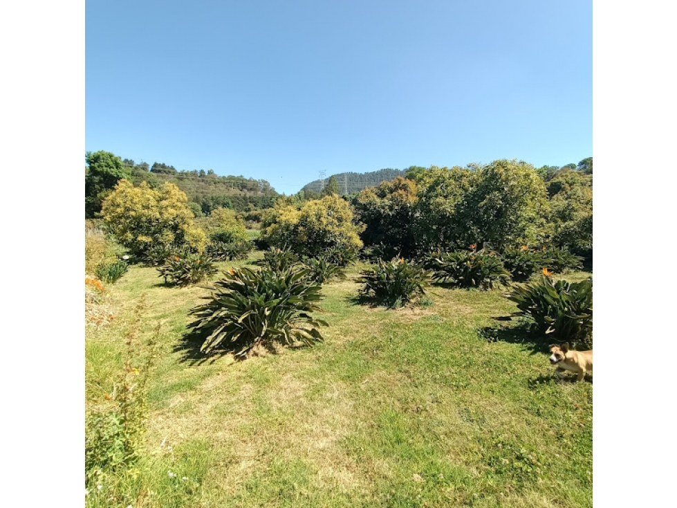 TERRENO EN SAN BARTOLO AMANALCO — foto 5