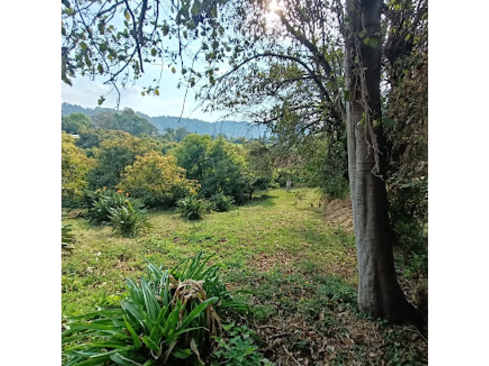 HERMOSO TERRENO EN AMANALCO DE BECERRA — foto 5
