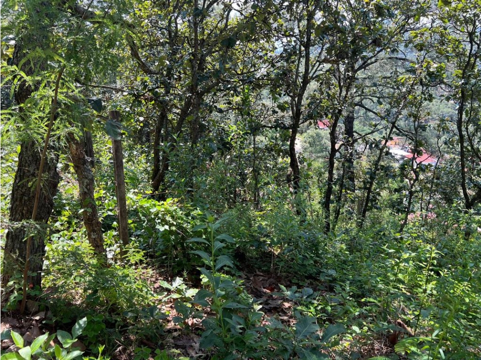 TERRENO EN VENTA EN VALLE DE BRAVO. - 6