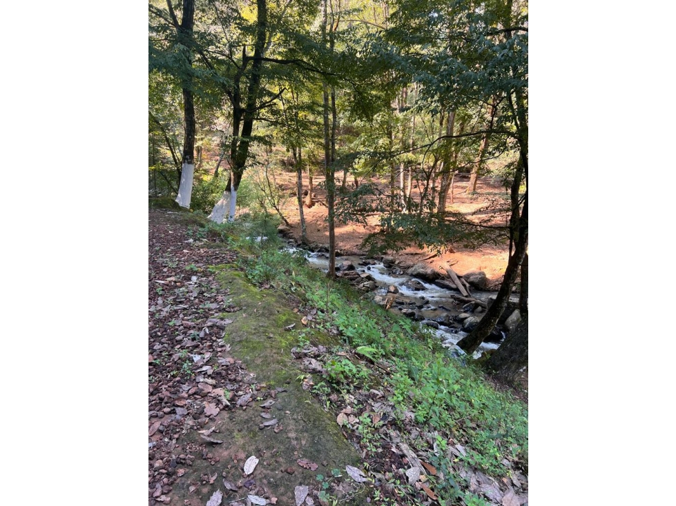 TERRENO EN VENTA ZONA AVANDARO P — foto 5