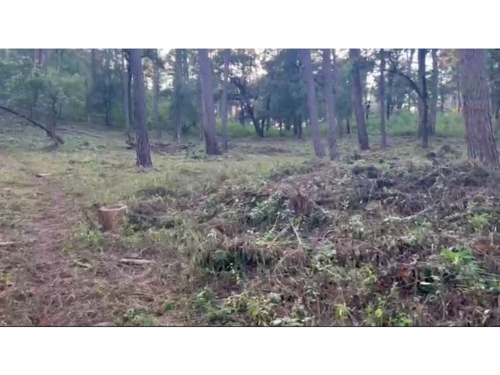 TERRENO EN VENTA EN CERRO GORDO P — foto 5