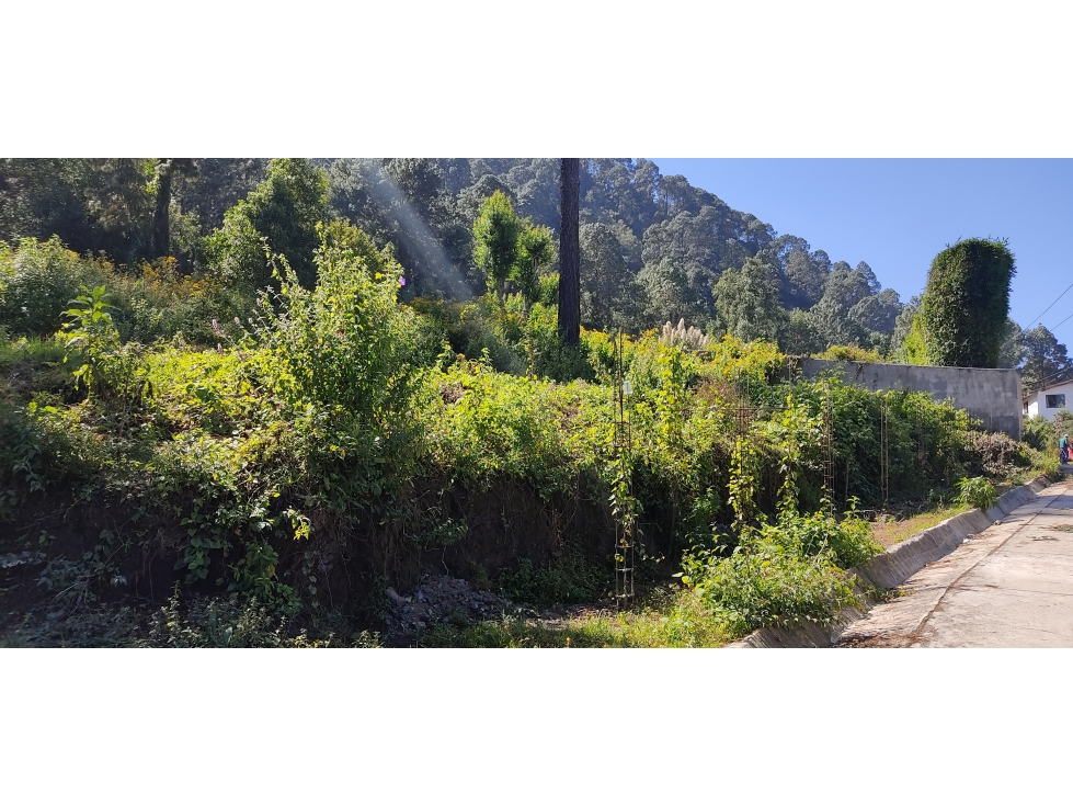 TERRENO EN VENTA EN CERRO GORDO P — foto 5