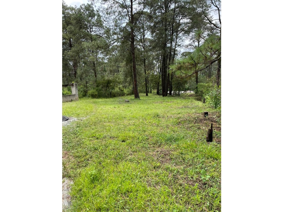 TERRENO EN VENTA EN SAN GABRIEL IXTLA P — foto 5