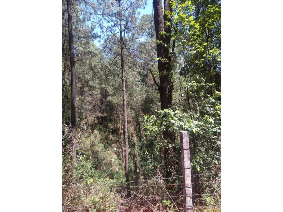 Rancho en Venta Los Saúcos Valle de Bravo C - 6