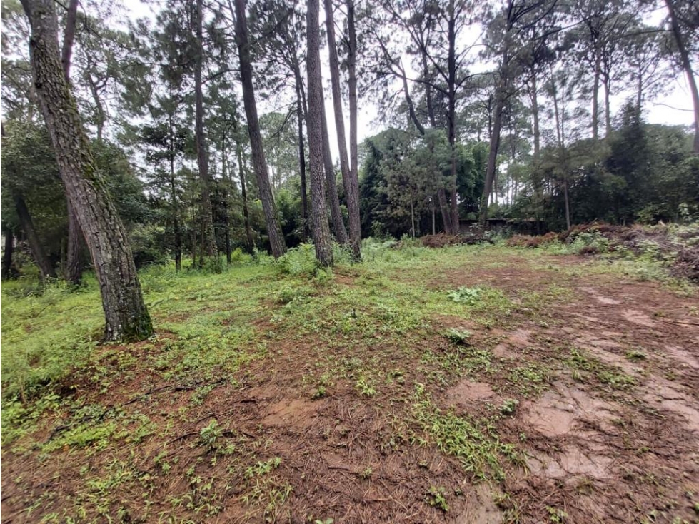 TERRENOS EN VENTA EN VALLE DE BRAVO P — foto 5