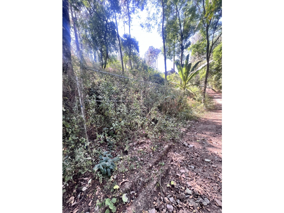 Terreno en venta en Avandaro cerca del club de golf - 5
