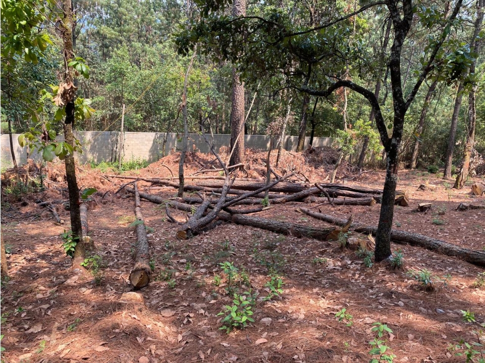 TERRENO EN VENTA POCOS COMO ESTE EN LA ZONA - 5