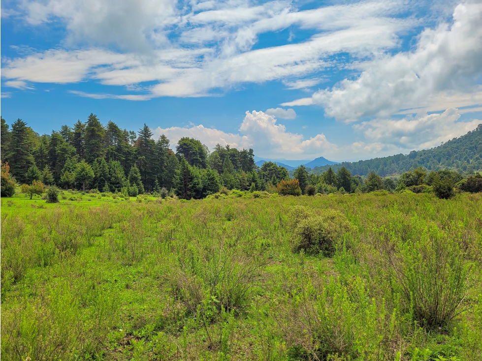 OPORTUNIDAD PARA RANCHO EN VALLE DE BRAVO — foto 2