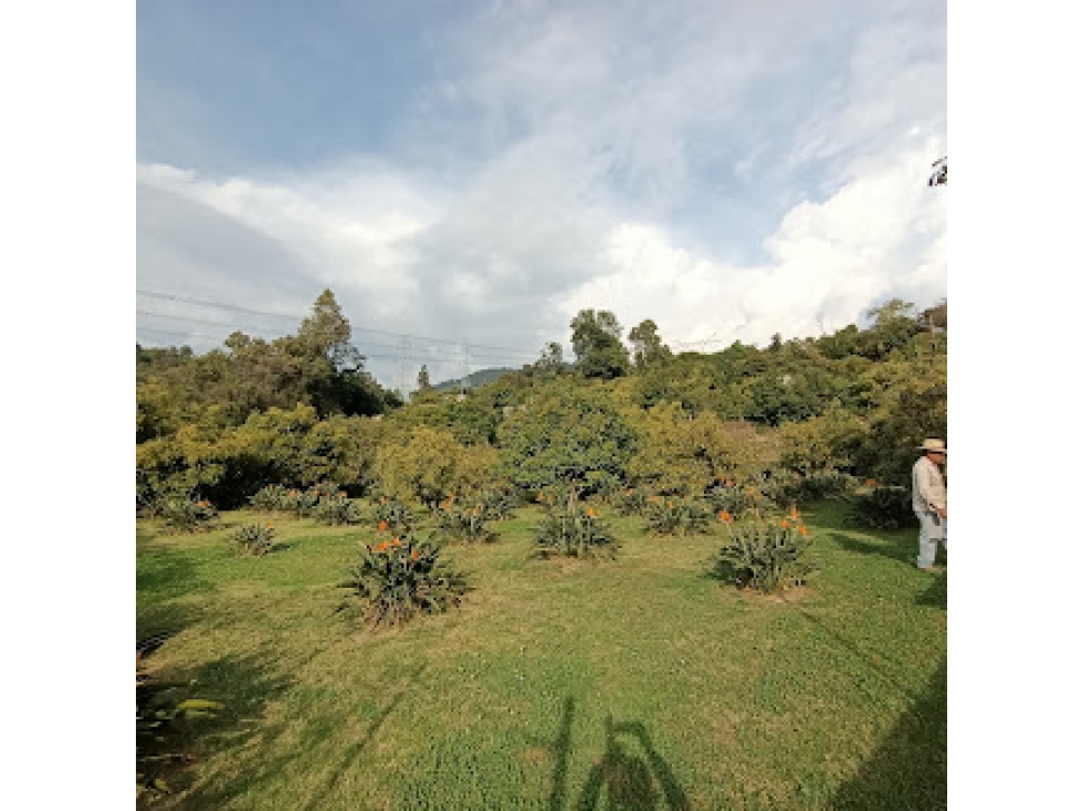HERMOSO TERRENO EN AMANALCO DE BECERRA — foto 6