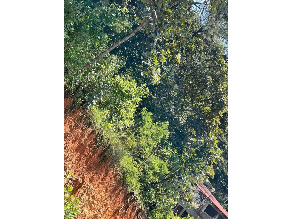 TERRENO EN VENTA EN VALLE DE BRAVO. - 2