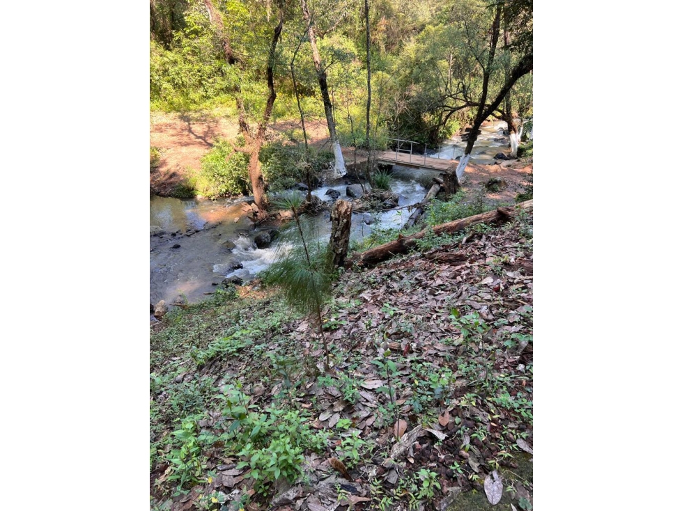 TERRENO EN VENTA ZONA AVANDARO P — foto 6