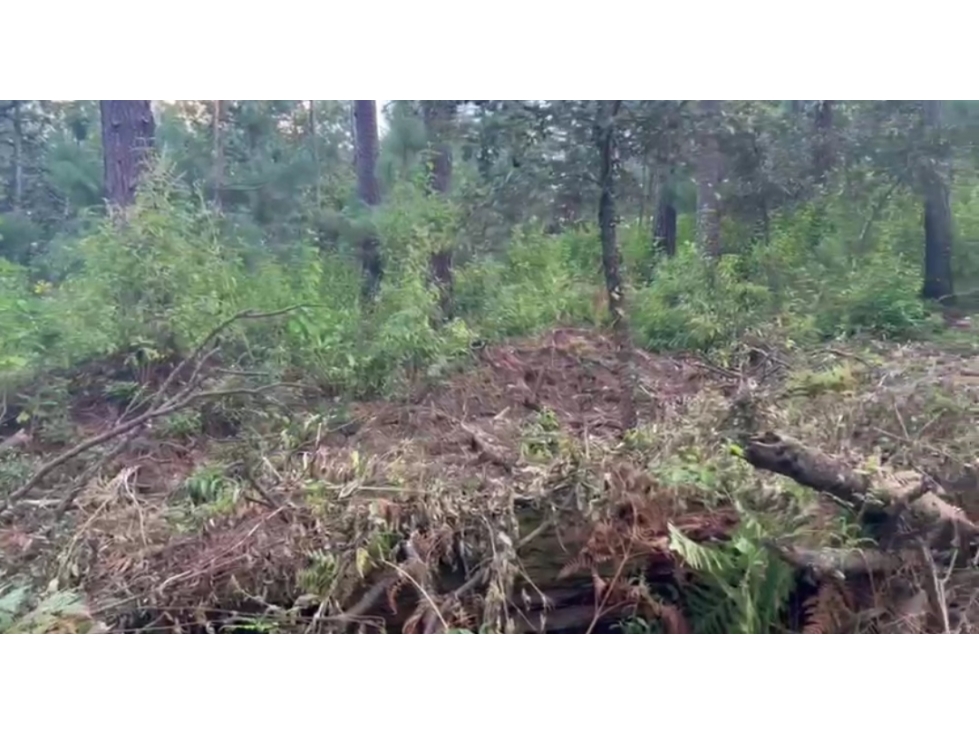 TERRENO EN VENTA EN CERRO GORDO P — foto 6