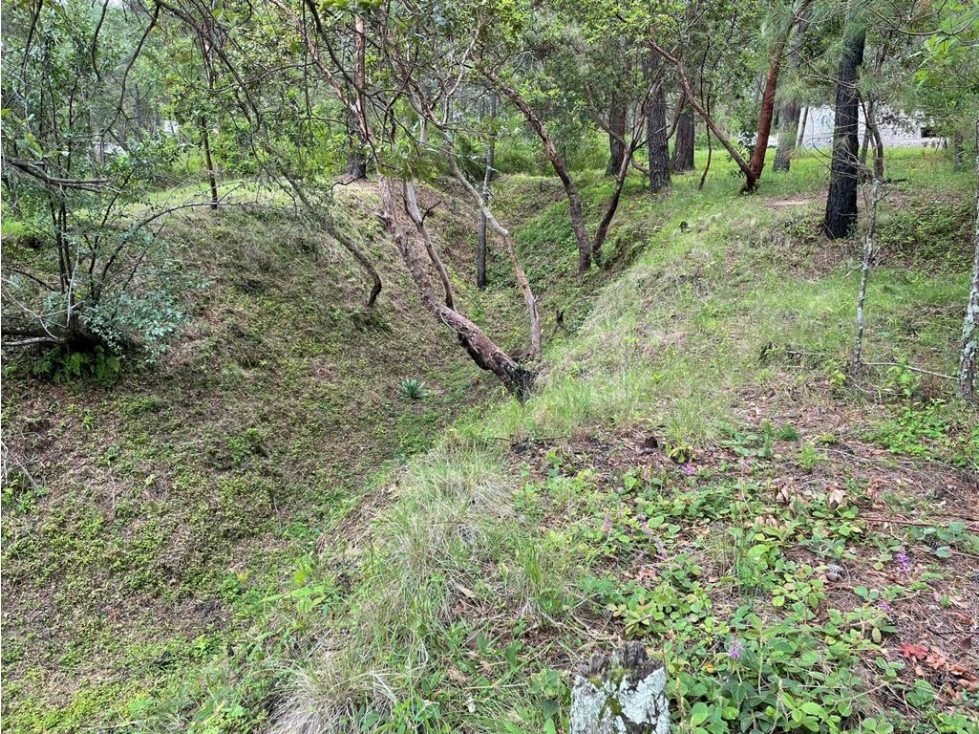 TERRENO EN VENTA EN SAN GABRIEL IXTLA P — foto 6