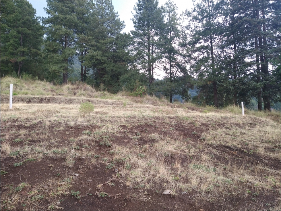 Terreno en Venta los Saúcos Valle de Bravo C — foto 2