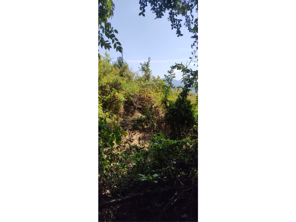 TERRENO EN VENTA EN EL FRESNO P — foto 6