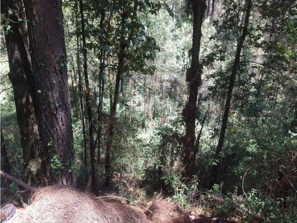 Rancho en Venta Los Saúcos Valle de Bravo C - 2