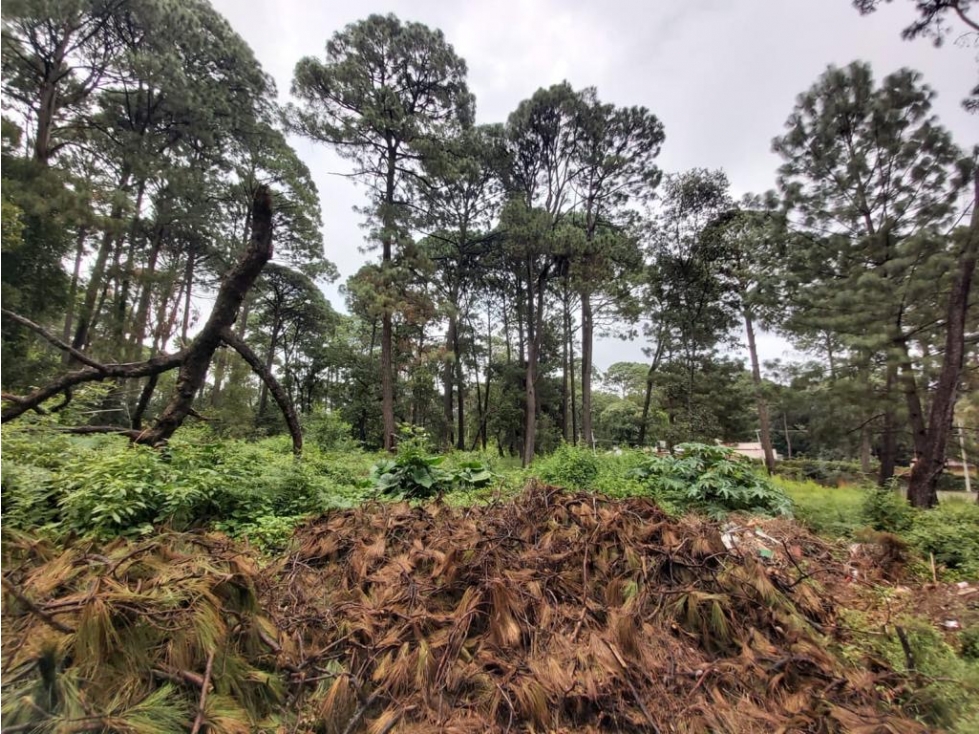 TERRENOS EN VENTA EN VALLE DE BRAVO P — foto 6