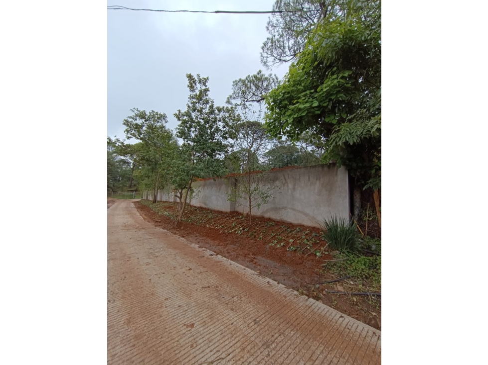 PREVENTA DE CASA ACACIA EN AVANDARO VALLE DE BRAVO C — foto 6