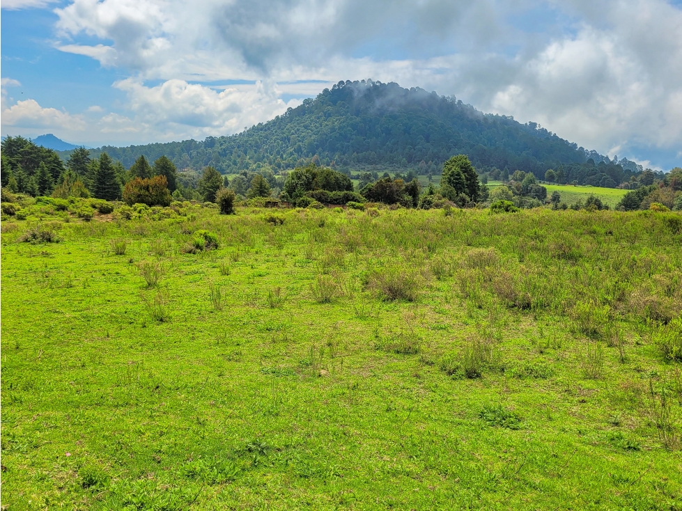 OPORTUNIDAD PARA RANCHO EN VALLE DE BRAVO