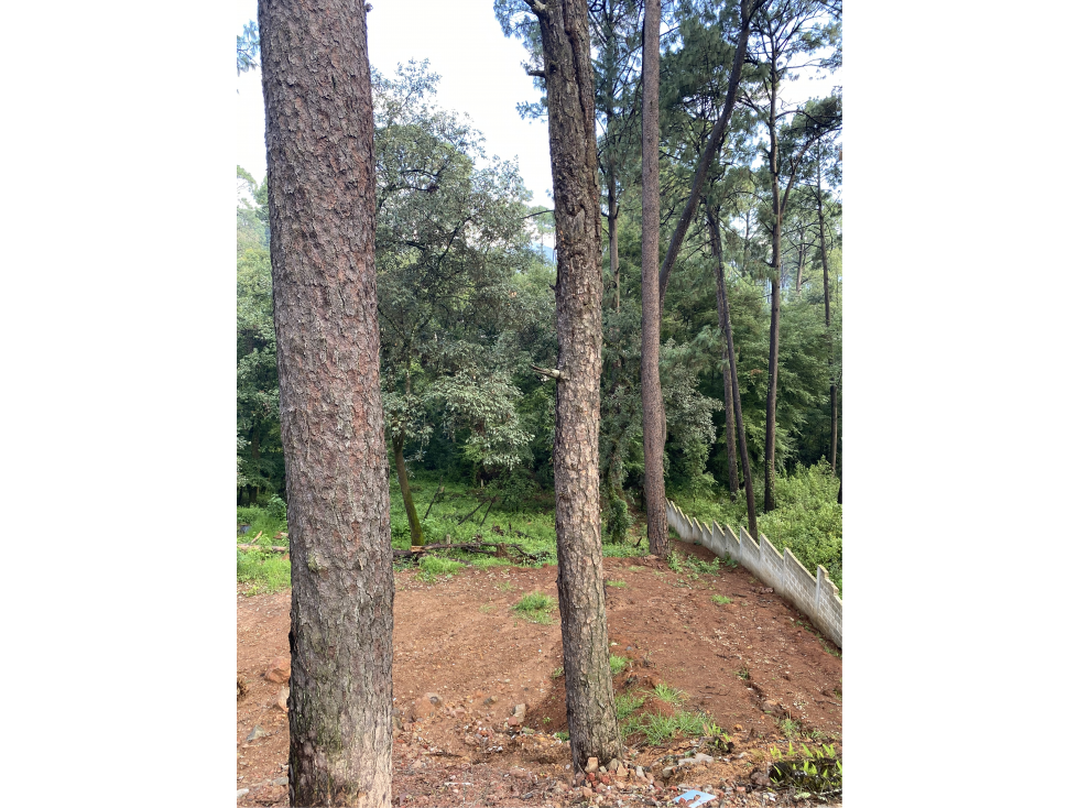 Hermoso Terreno En Valle De Bravo M