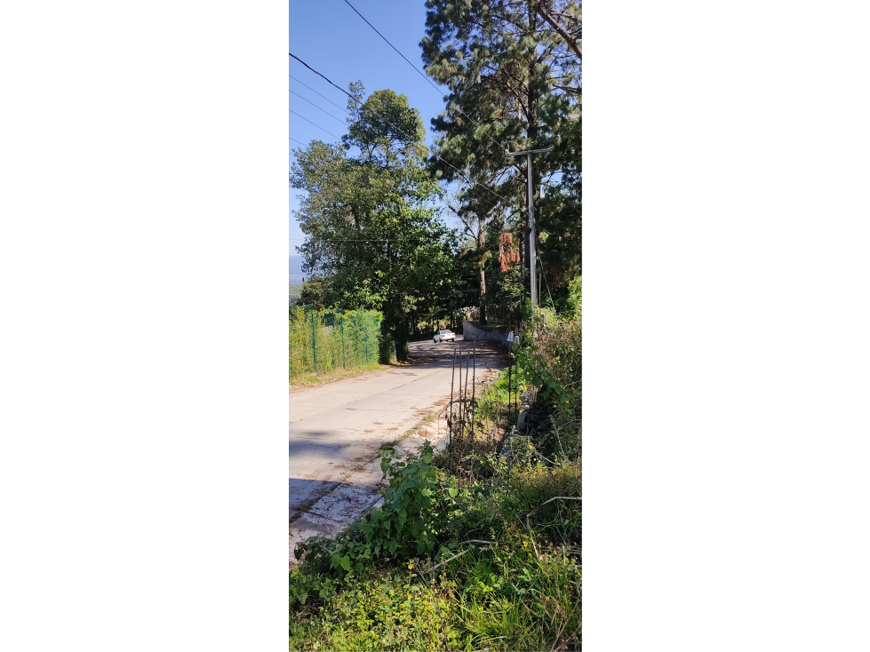 TERRENO EN VENTA EN CERRO GORDO P — foto 2