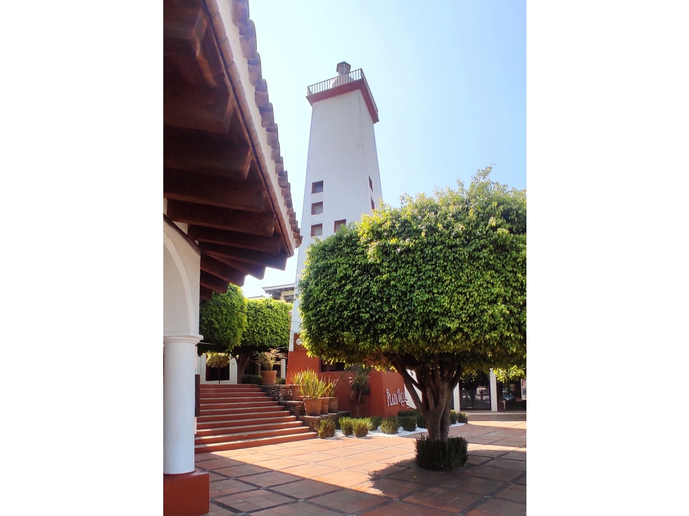 Local en renta P - 5