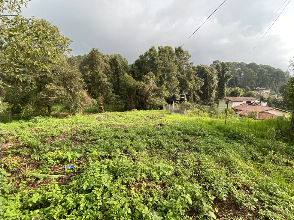 Terreno en cerro colorado M