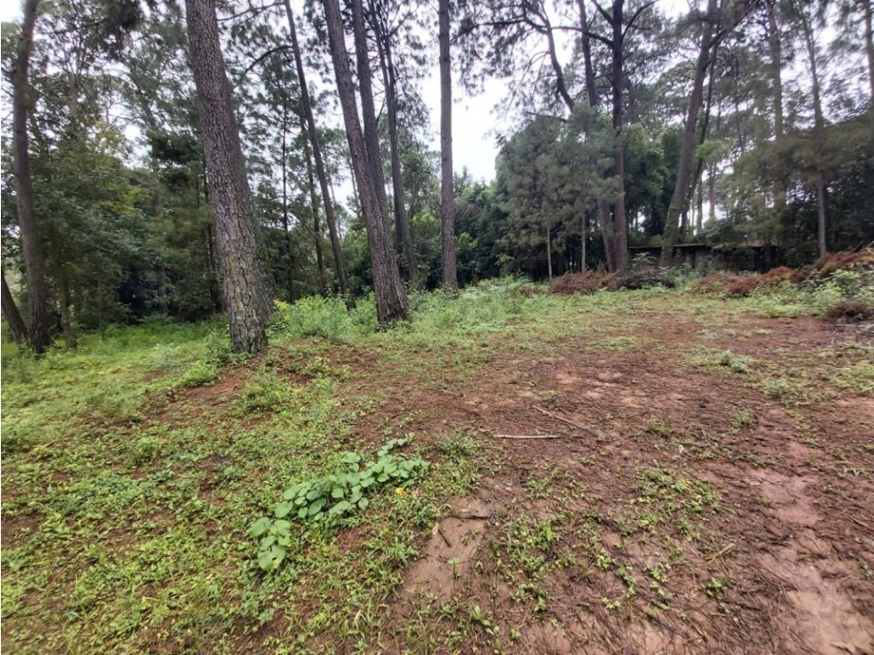 TERRENOS EN VENTA EN VALLE DE BRAVO P — foto 2