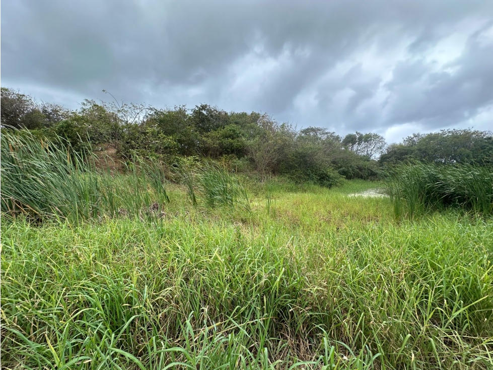 Vendo Lote de Playa Frente al Mar Potencial Residencial y Hotelero — foto 4