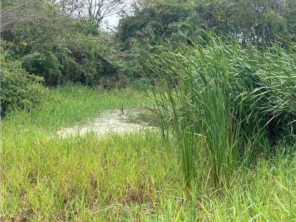 Vendo Lote de Playa Frente al Mar Potencial Residencial y Hotelero — foto 5