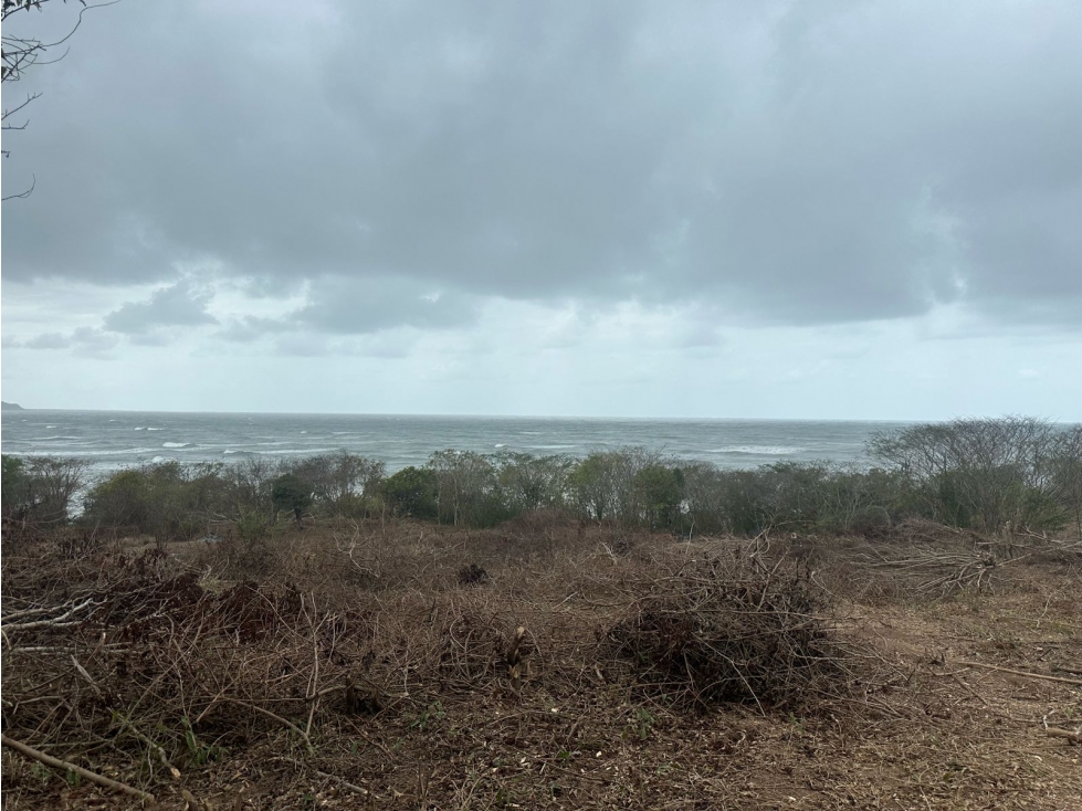 Vendo Lote de Playa Frente al Mar Potencial Residencial y Hotelero — foto 2