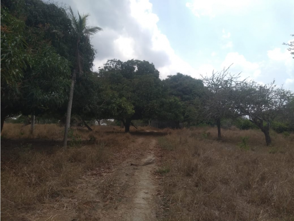 ARRIENDO FINCA POLONUEVO - ATLANTICO - 4