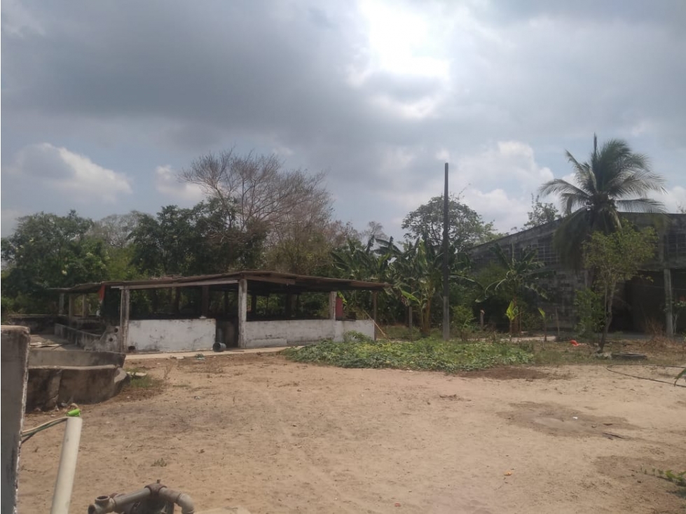 ARRIENDO FINCA POLONUEVO - ATLANTICO - 5