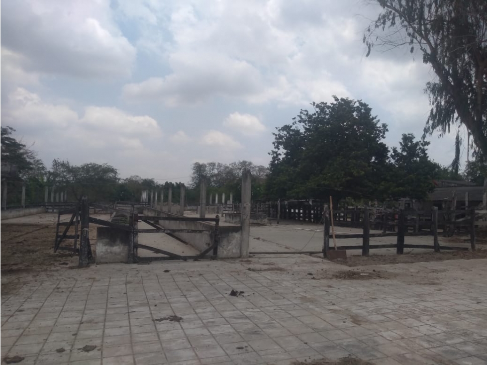 ARRIENDO FINCA POLONUEVO - ATLANTICO - 6