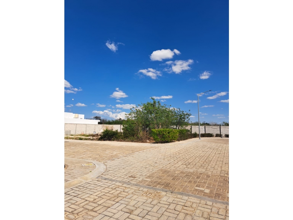 VENTA TERRENO PRIVADA SOLUNA TEMOZON NORTE MERIDA — foto 4