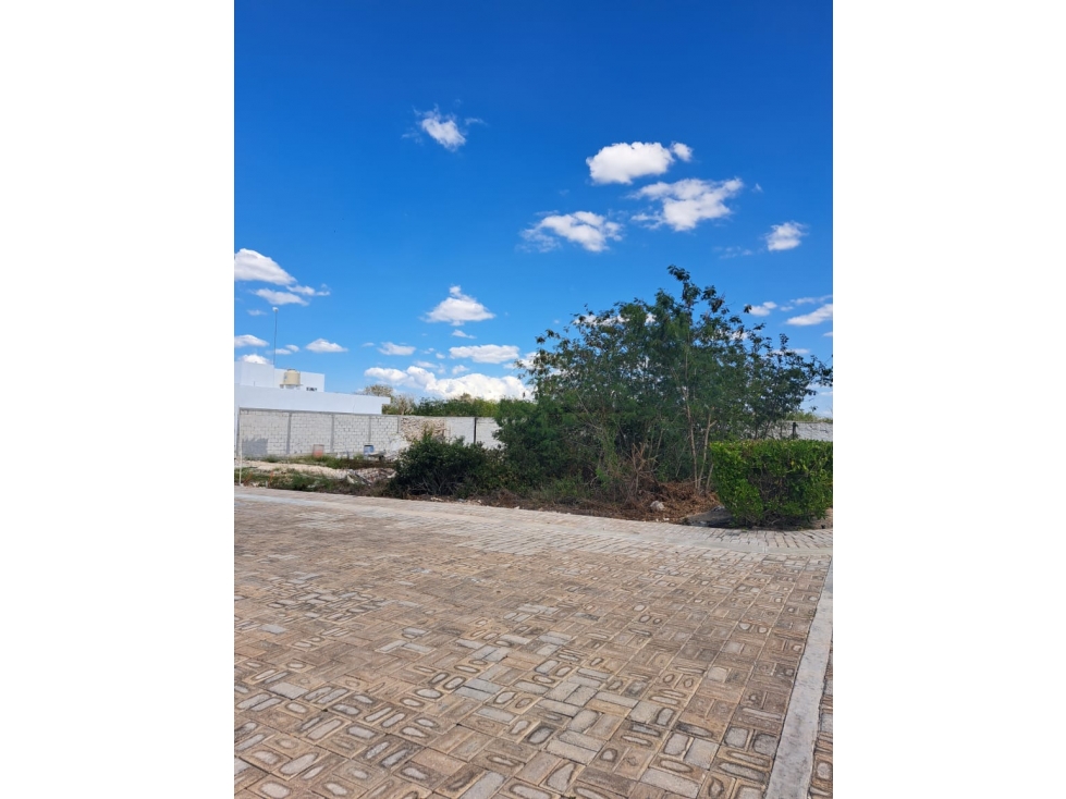 VENTA TERRENO PRIVADA SOLUNA TEMOZON NORTE MERIDA — foto 5