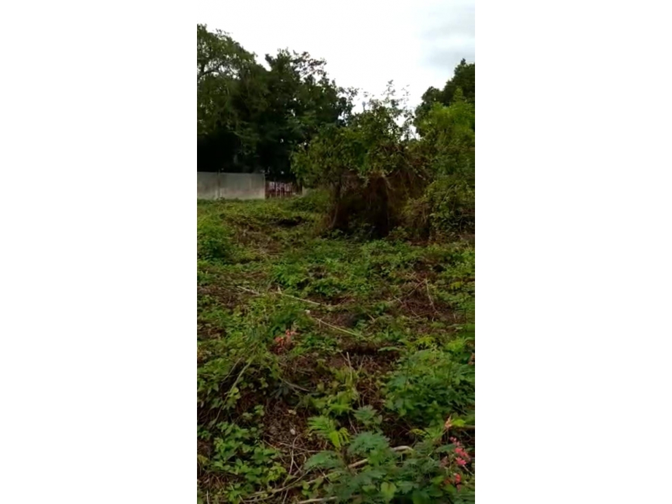 Terreno con construcción en Venta, Centro Histórico, Merida, Yucatan - 4