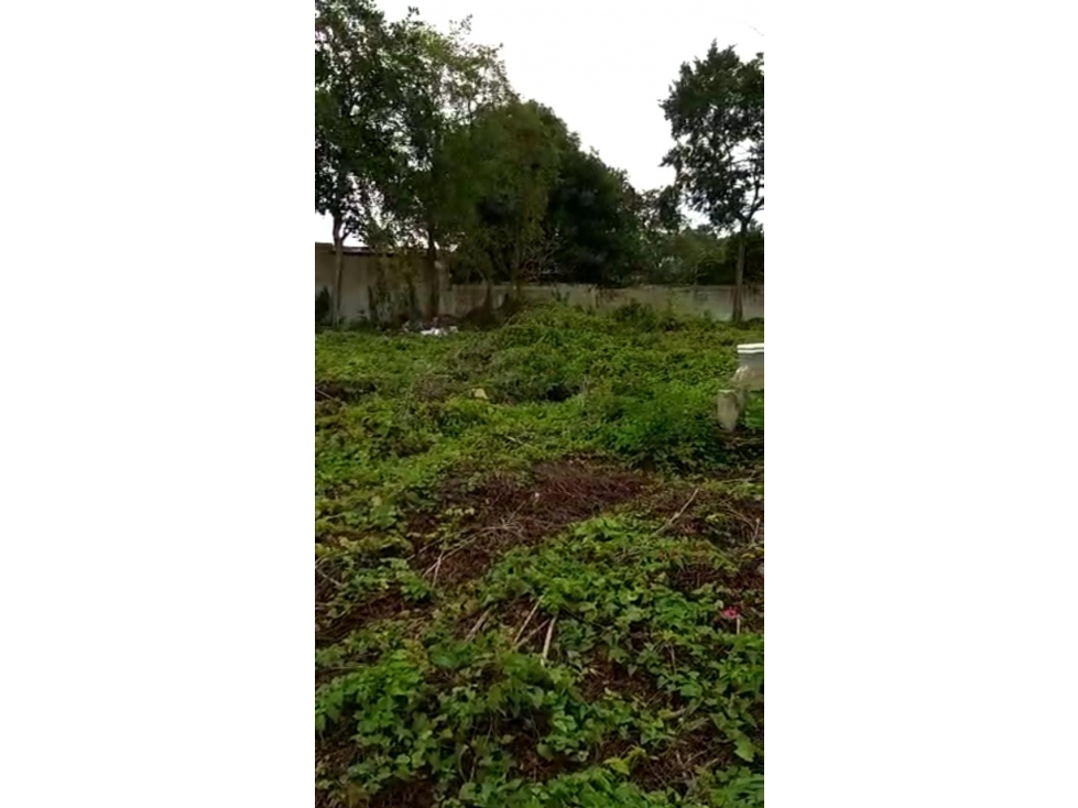 Terreno con construcción en Venta, Centro Histórico, Merida, Yucatan - 3