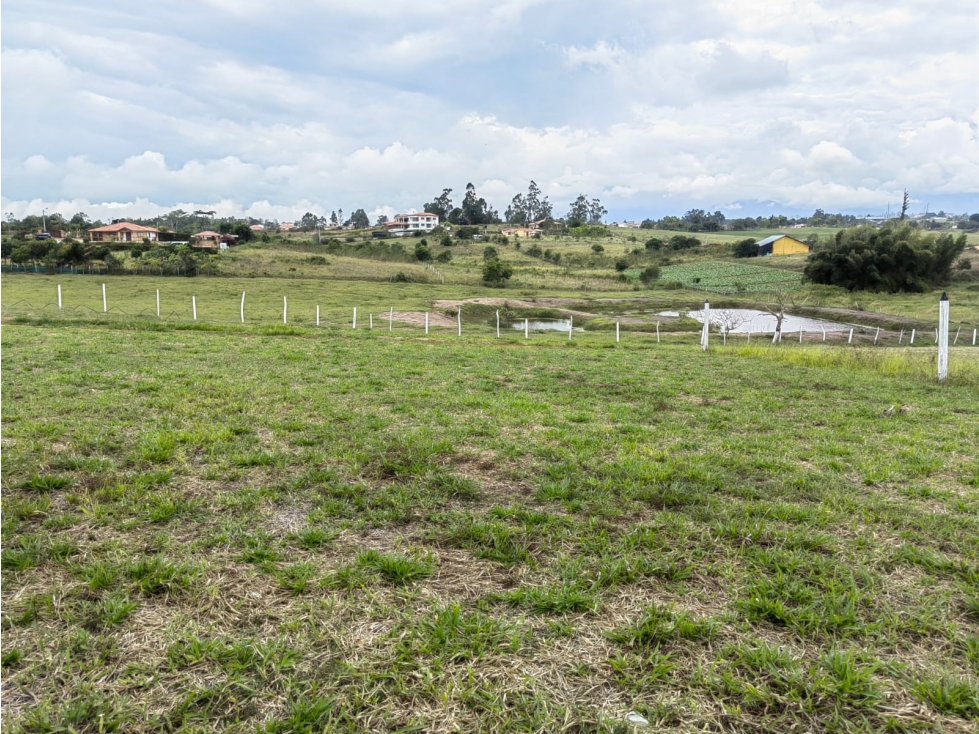 SE VENDEN HERMOSOS LOTES EN LA MESA DE LOS SANTOS - 3