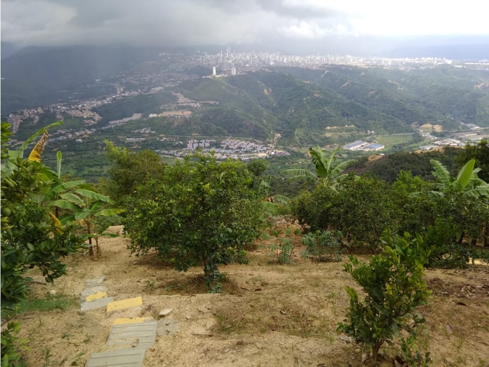 SE VENDE CASA CAMPESTRE CONDOMINIO ALTAR DE LOS REYES/LEBRIJA — foto 3