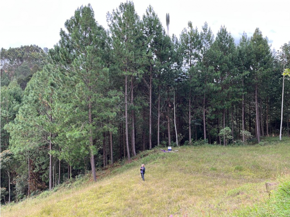 Venta de Lote en parcelación cerrada en El Retiro, Antioquia — foto 5