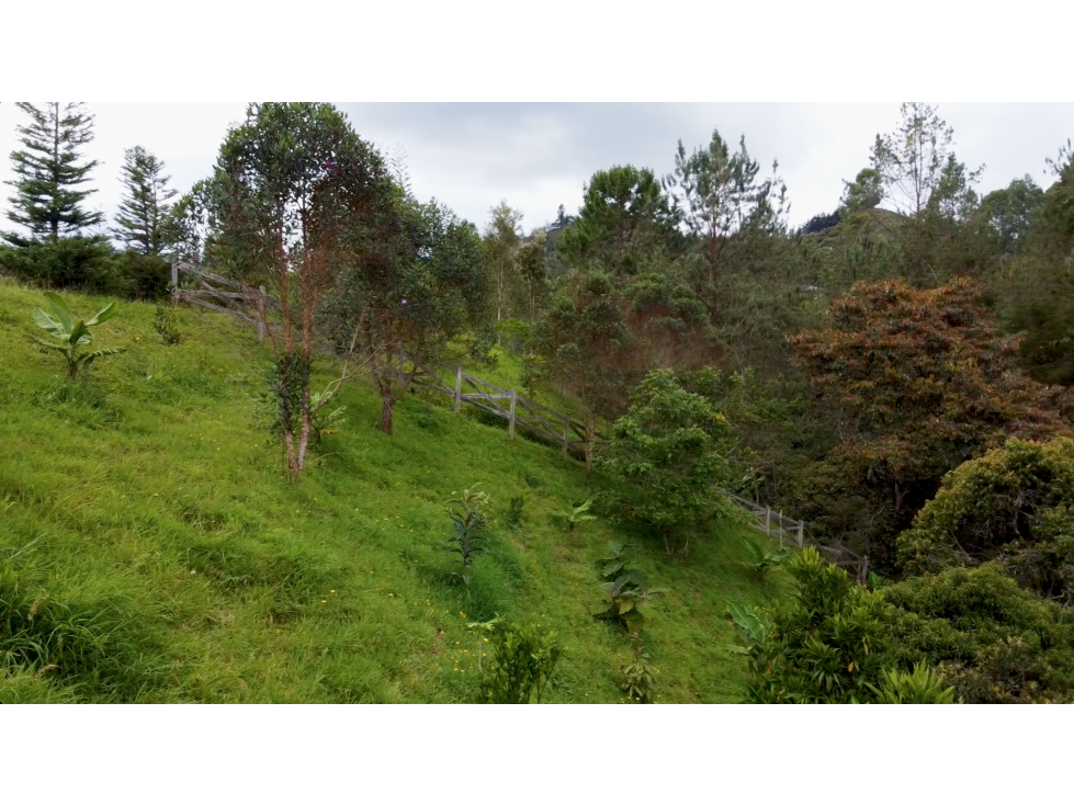 Lote para la venta, unidad cerrada, El Retiro, Antioquia — foto 4