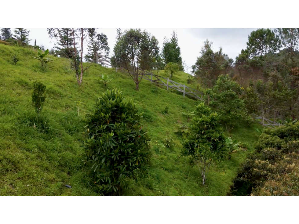 Lote para la venta, unidad cerrada, El Retiro, Antioquia — foto 6