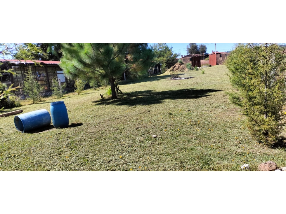 TERRENO EN VENTA EN TAPALPA PARA CABAÑA O CASA DE DESCANSO - 3